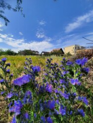 6 ����� �� �������� 2 ����� ���� 1