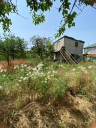 ���� �� �������� 3 ����� ���� 14