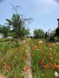 ���� �� �������� 3 ����� ���� 8