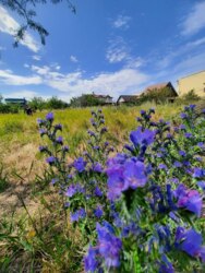 6 ����� �� �������� 2 ����� ���� 4