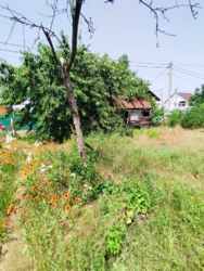 ���� �� �������� 3 ����� ���� 12