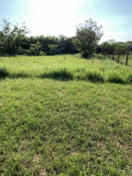 Земельна ділянка на Ветерані 14 сот фото 2 Земельна ділянка на Ветерані 14 сот фото 2