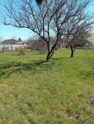 �������. ��������� �������� ������ ��� ����. ���� 5