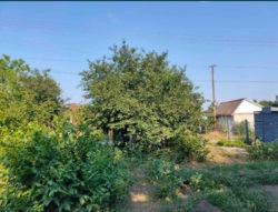 Волна участок фото 3 Волна участок фото 3