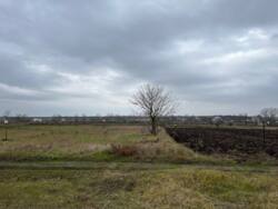 15 соток Барабои фото 3 15 соток Барабои фото 3