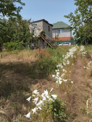 ���� �� �������� 3 ����� ���� 6