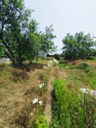 ���� �� �������� 3 ����� ���� 10