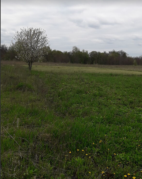 Продаж земельної ділянки під житлову забудову на вулиця Щаслива, площа 10 соток фото 1 Продаж земельної ділянки під житлову забудову на вулиця Щаслива, площа 10 соток фото 1