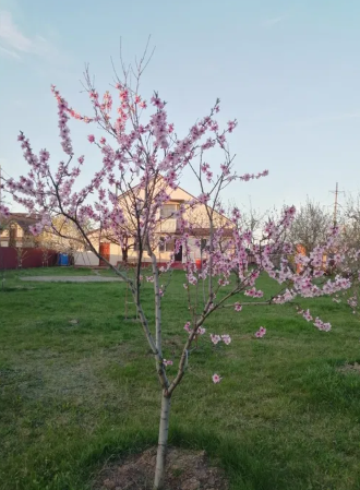 �������� 11 �����,�� �������� ���� 1