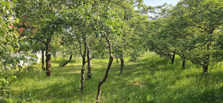 �������� ������ 8 ����� ���� 1