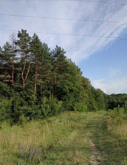 Продаж земельної ділянки під житлову забудову в селі Стрижавка, Вінницькій області, площа 10 соток фото 1 Продаж земельної ділянки під житлову забудову в селі Стрижавка, Вінницькій області, площа 10 соток фото 1