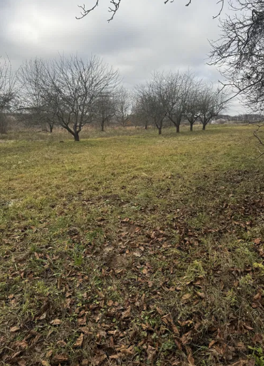 �������� ������ ���� 1