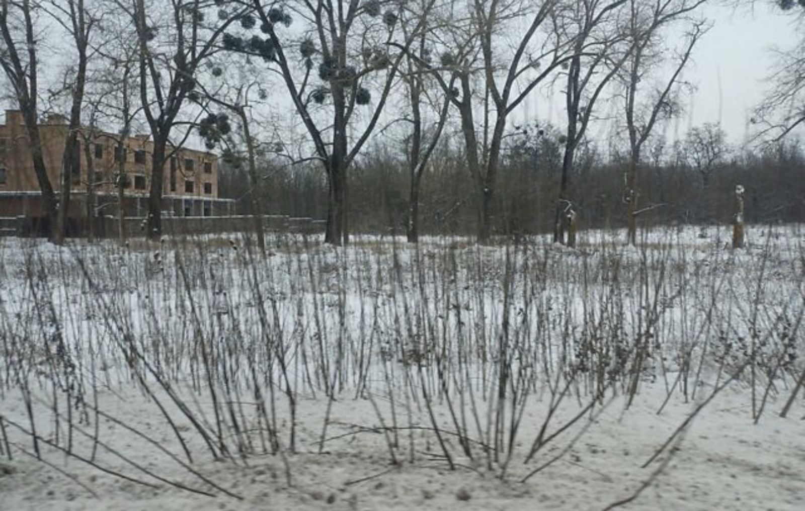 ������ �������� ������ ������������ �������� ���� 1