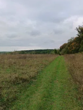 Земельна ділянка 70 с (біля с. Березина Вінн. району) фото 1 Земельна ділянка 70 с (біля с. Березина Вінн. району) фото 1