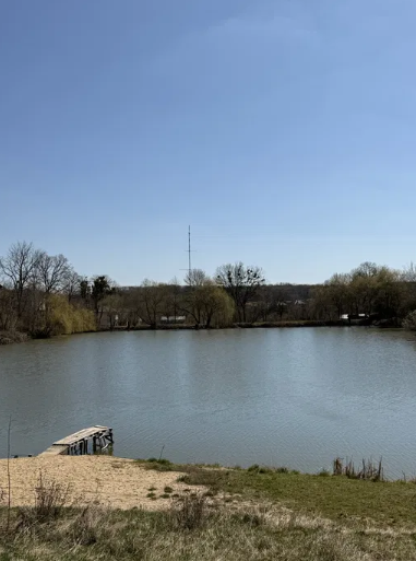 ��������� �������� ������ ��� ������ ���� 1