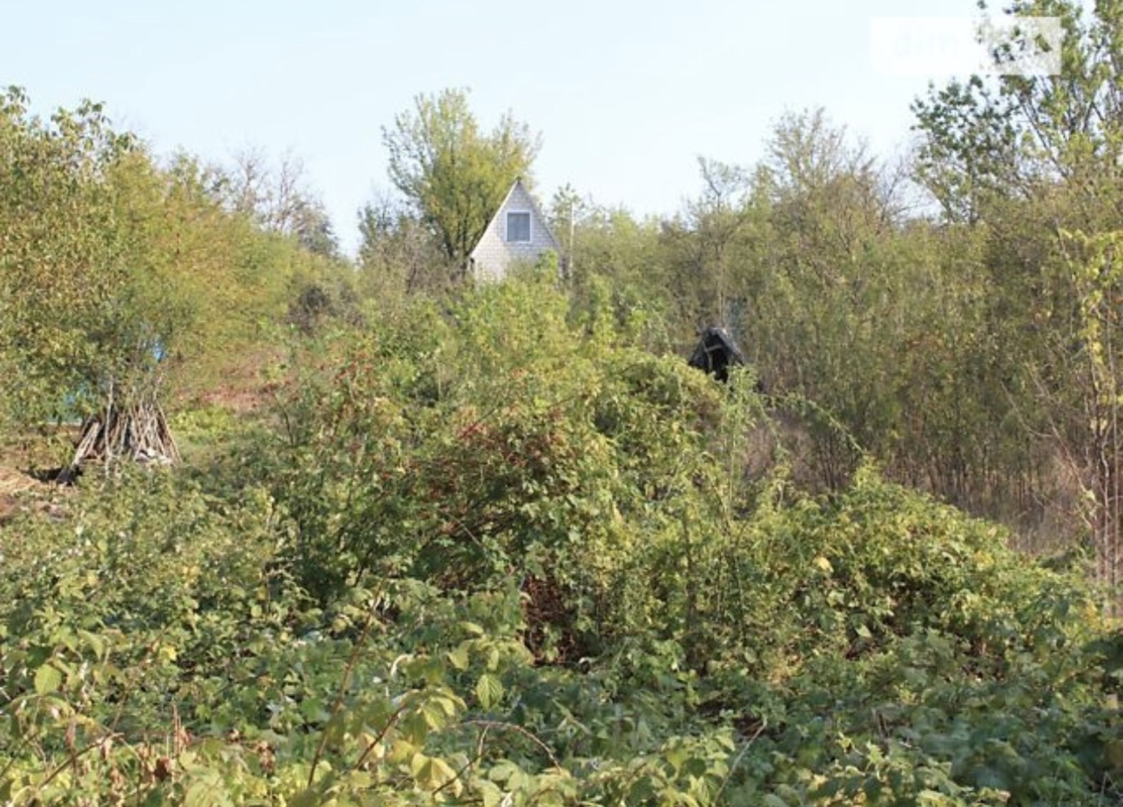 ������ �������� ������ �� ���. �������, ����� 6 ����� ���� 1