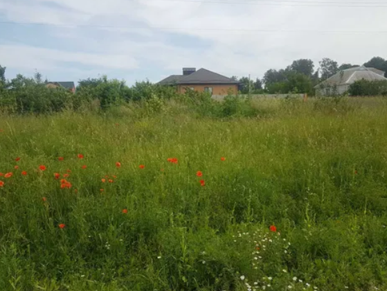 ������ �������� ������ �� ������� �������� �� ���. ���������, ����� 5.3 ����� ���� 1