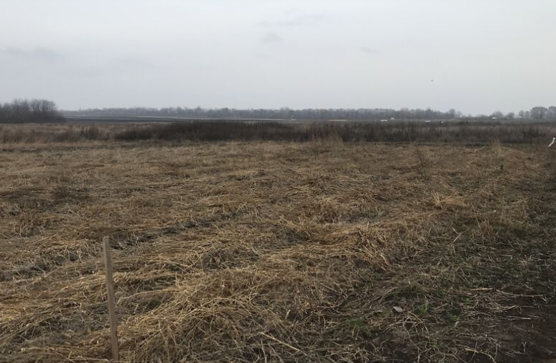 ������ �������� ������ ��������������������� ����������� �� ���. ���������, ����� 10 ����� ���� 1