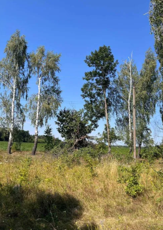 ĳ����� ���� � ��������� ���� 1