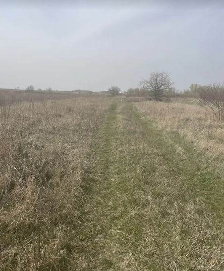 ������ �������� ������ ��������������������� ����������� �� ���� ����������, ����� 8 ����� ���� 1