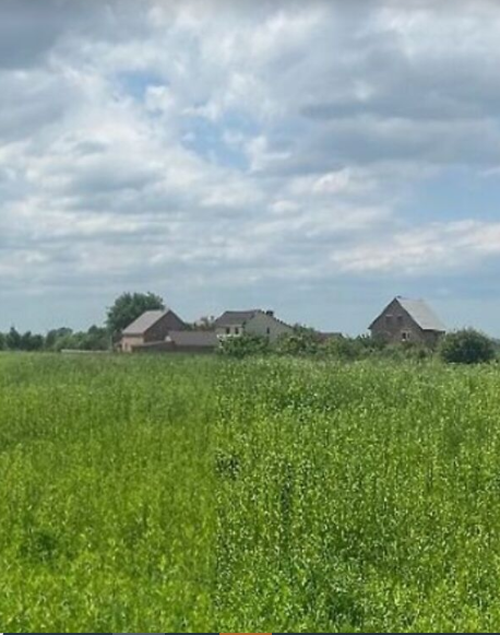      ,  6   1