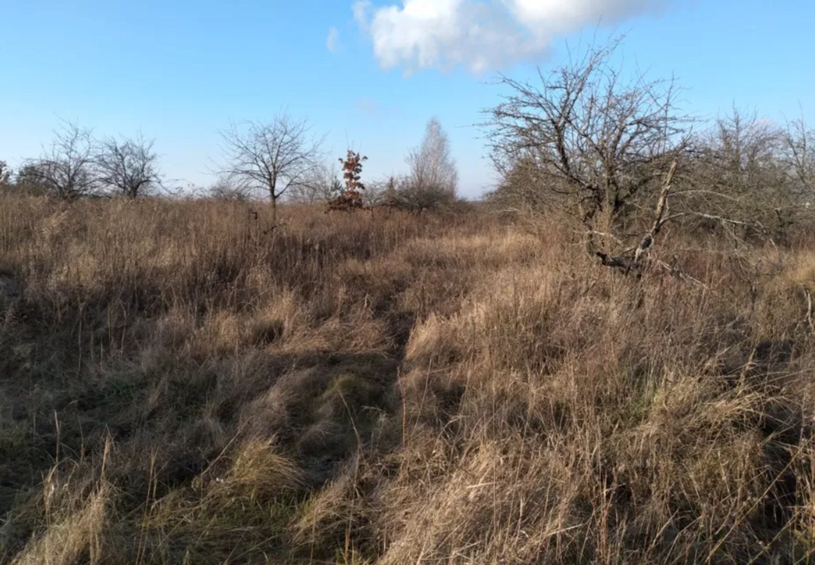 ������ �������� ������ �. ��������� ���� 1