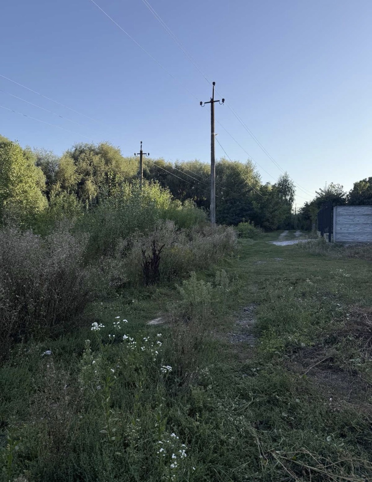 ������ ������ �� ��������� ���� 1