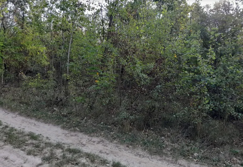     ,  1.98   1