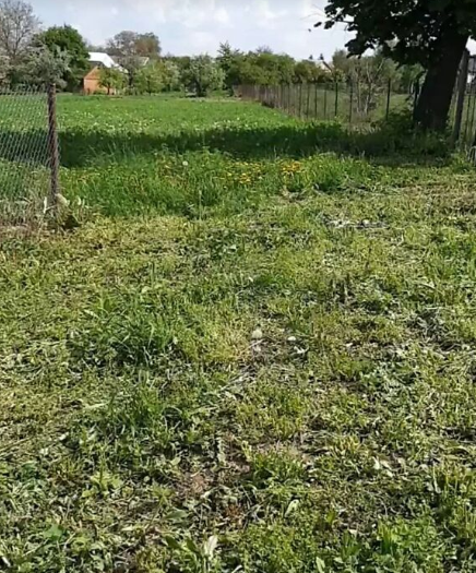 ������ �������� ������ ��������������������� �����������, �� ���. ������� �������������, ����� 0.0137 �� ���� 1