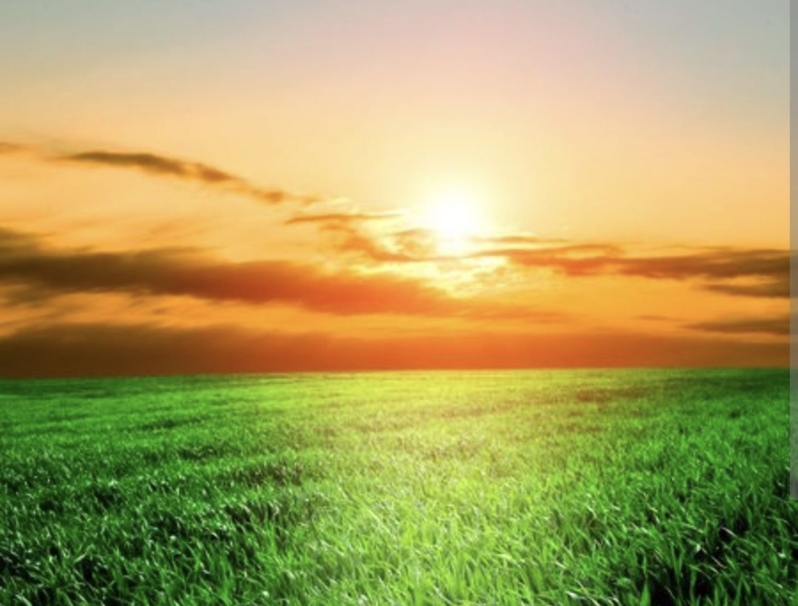 ������ ������ �� ������� �� ���� 1