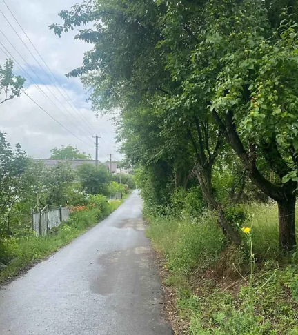 ������ �������� ����� ���� 1