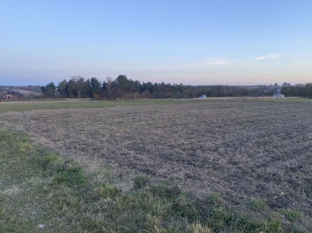 ������ �������� ������ ���� 1