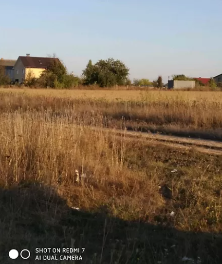      ,  6   1