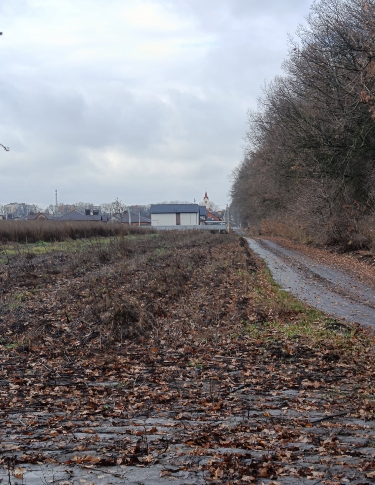 ������ �������� ������ ���� 1