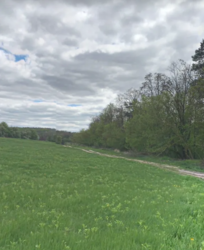 Продаж земельної ділянки під житлову забудову на вул. Головна, площа 0.1189 Га фото 1 Продаж земельної ділянки під житлову забудову на вул. Головна, площа 0.1189 Га фото 1