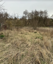 ������ �������� ������ �� ������� �������� �� ���. ��� �������, ����� 14 ����� ���� 3