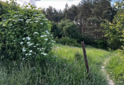 ������ �������� ������ ��������������������� �����������, �� �� �����������, ����� 0.0423 �� ���� 2