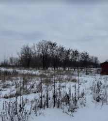 ������ �������� ������ �� ������� ��������, ����� 8 ����� ���� 7