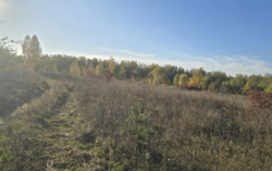 ������ �������� ������ ��������������������� �����������, ����� 2.5 �� ���� 1