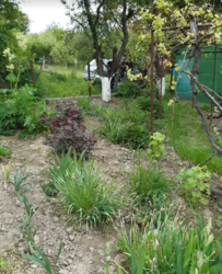 ������ �������� ������ �� ������� �������� �� ���. ����� �����, ����� 5 ����� ���� 4