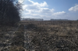 Продаж земельної ділянки сільськогосподарського призначення в селі Вінницькі Хутори, Вінницькій області, площа 20 соток фото 2 Продаж земельної ділянки сільськогосподарського призначення в селі Вінницькі Хутори, Вінницькій області, площа 20 соток фото 2