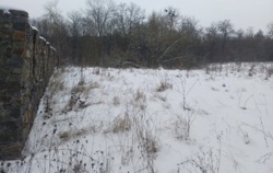 ������ �������� ������ ������������ �������� ���� 5