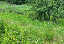 ������ �������� ������ ��������������������� �����������, �� ���. ������, ����� 7.8 ����� ���� 3