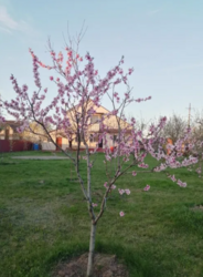 �������� 11 �����,�� �������� ���� 1