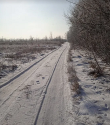 ������ �������� ������ �� ������� �������� ���� 4