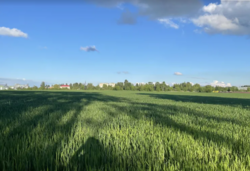 ������ �������� ������ ���� 2