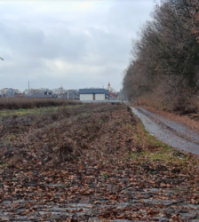 ������ �������� ������ �� ������� �������� ���� 1