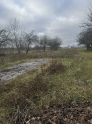 �������� ������ ���� 5