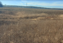 Продаж земельної ділянки сільськогосподарського призначення, площа 12 соток фото 3 Продаж земельної ділянки сільськогосподарського призначення, площа 12 соток фото 3