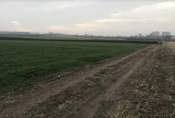 ������ �������� ������ ��������������������� ����������� �� ���. ���������, ����� 10 ����� ���� 3